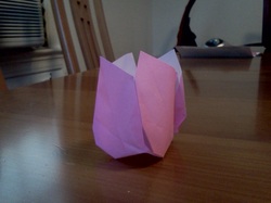 Rose Container